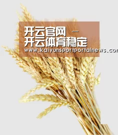 开云官网 - 开云体育稳定访问通道 - 内容更新