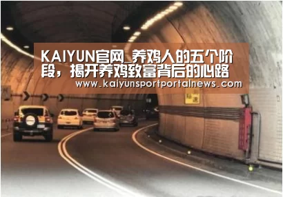 KAIYUN官网_养鸡人的五个阶段,揭开养鸡致富背后的心路历程(图2) 开云体育数据中心