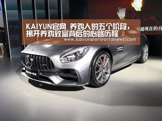 KAIYUN官网_养鸡人的五个阶段,揭开养鸡致富背后的心路历程(图1) 开云入口