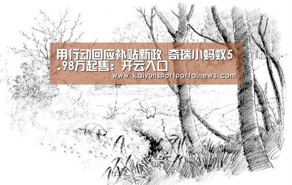 用行动回应补贴新政 奇瑞小蚂蚁5.98万起售:开云入口(图3) 开云体育