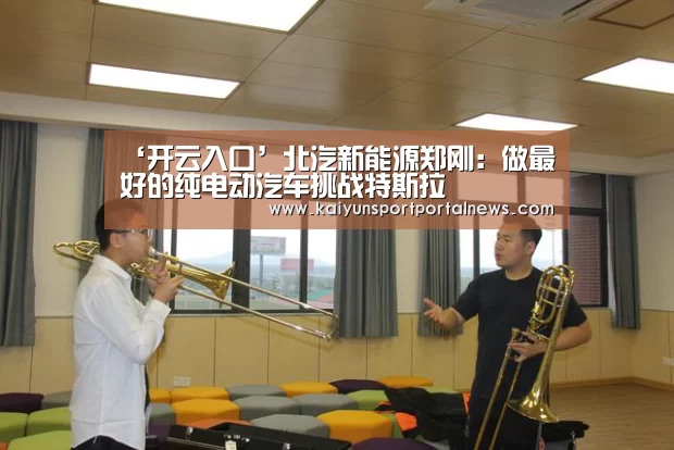 ‘开云入口’北汽新能源郑刚:做最好的纯电动汽车挑战特斯拉(图3) 开云体育
