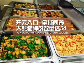 开云入口-全球圈养大熊猫种群数量达548只(图1) 开云体育