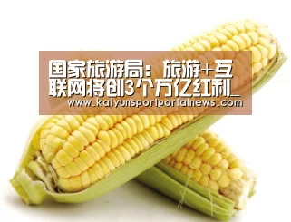 开云入口