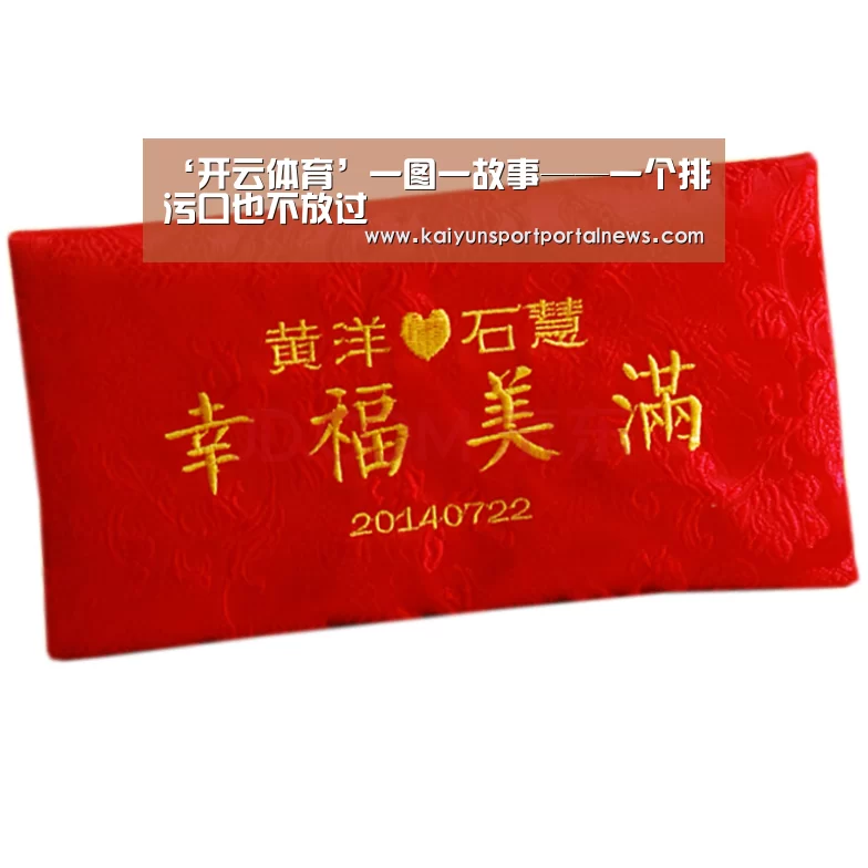 ‘开云体育’一图一故事——一个排污口也不放过(图1) KAIYUN官网