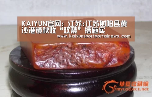开云体育